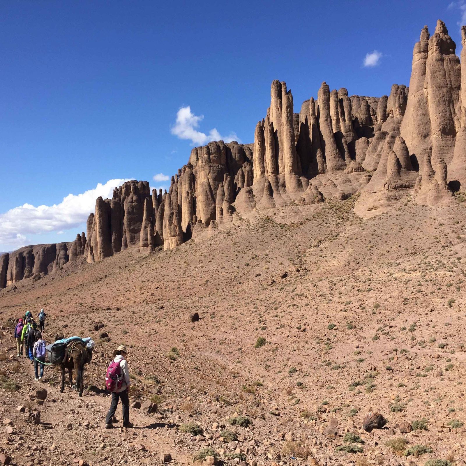 TREK DJEBEL SAGHRO ET NOMADISME AÏT ATTA :UN TREK INOUBLIABLE